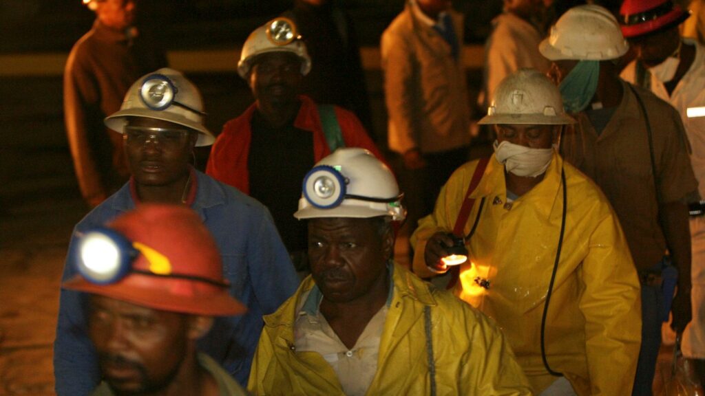 South Africa wont appeal ruling on mining Black empowerment clauses