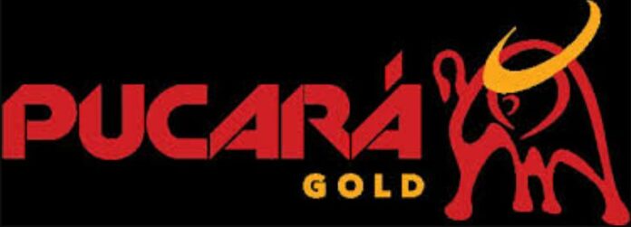Pucara Gold announces management change