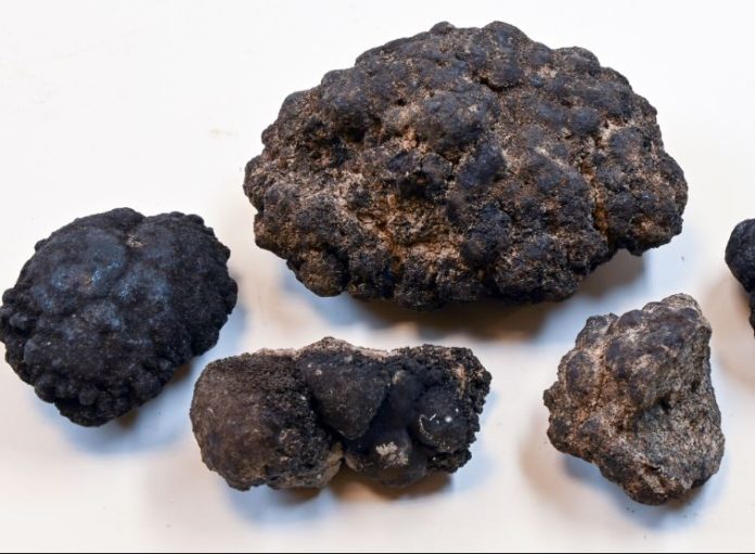 Elcora, Gold Lion finalize deal for Morocco manganese licence