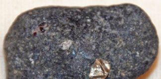 Botswana Diamonds, Petra ink data licence deal on Reivilo prospect