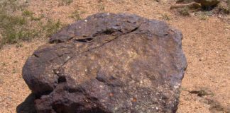 Trafigura receives US $600M develop cobalt, and copper mines in DRC