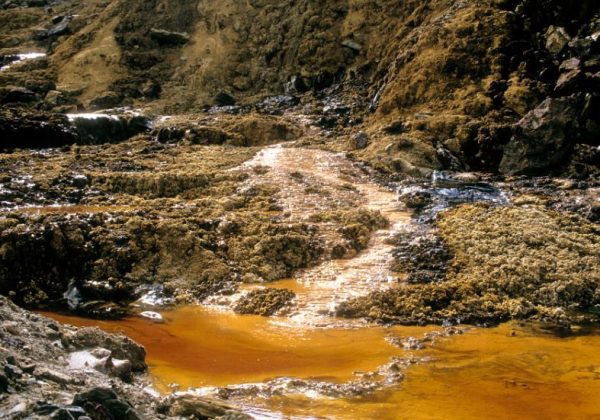 Researchers in South African develop new method to clean mining-polluted water